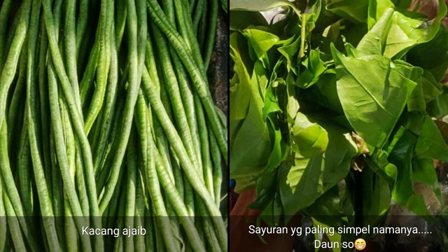 Status WA tukang sayur. (Foto: @belindch/Twitter)