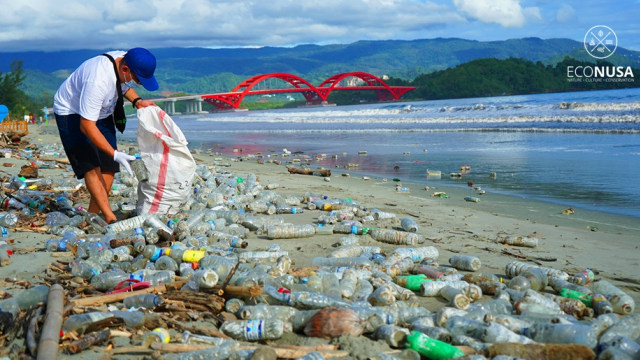 Peserta aksi bersih pantai memungut sampah botol plastik di Pantai Hechnuk, Kota Jayapura, Papua. Foto: Eco Nusa
