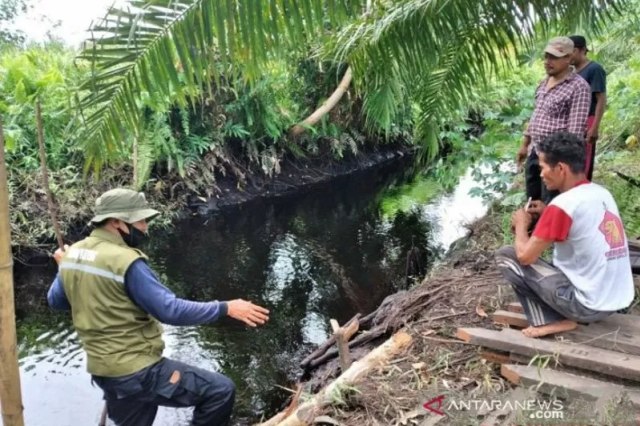 Komandan Jaga BKSDA Kalteng Pos Sampit, Muriansyah memeriksa lokasi buaya menyerang seorang bocah di Sungai Hambawang Desa Ganepo Kecamatan Seranau, Kamis (31/12/2020)  Foto: ANTARA/HO-BKSDA Pos Sampit