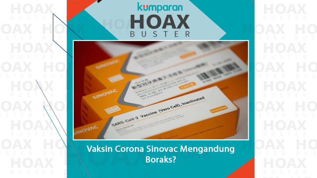 Vaksin Sinovac Tidak Mengandung Boraks dan Jaringan Kera (163119)