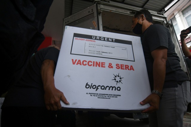 Petugas membawa vaksin corona Sinovac ke dalam tempat penyimpanan setibanya di Gedung Instalasi Farmasi Dinas Kesehatan Provinsi Sulawesi Tengah, Palu, Selasa (5/1).  Foto: Mohamad Hamzah/ANTARA FOTO