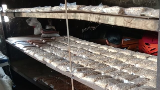 Perajin tempe di Mamuju terpaksa harus memperkecil ukuran tempe untuk menyiasati naiknya harga bahan baku kedelai. Foto: Awal Dion/sulbarkini