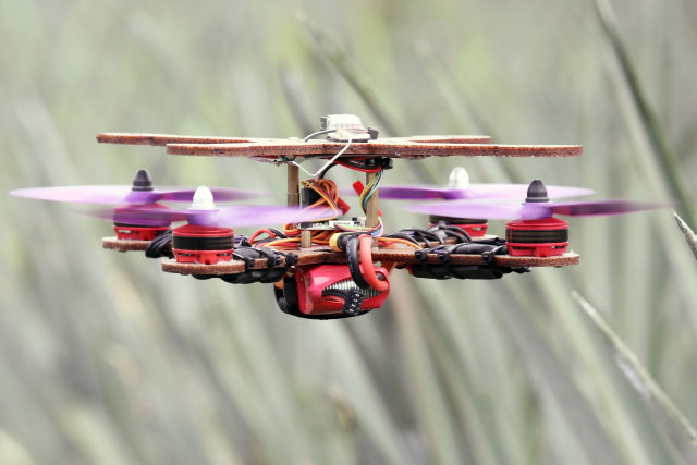 Sebuah drone yang kerangkanya terbuat dari batang nanas terbang di perkebunan di Jenjarom, Malaysia. Foto: Lim Huey Teng/REUTERS