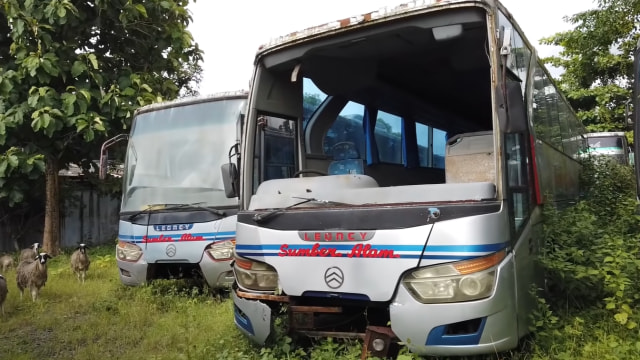 Bus Bekas PO Sumber Alam Mulai Rp 20 Jutaan, Setara Honda Vario Baru (47238)