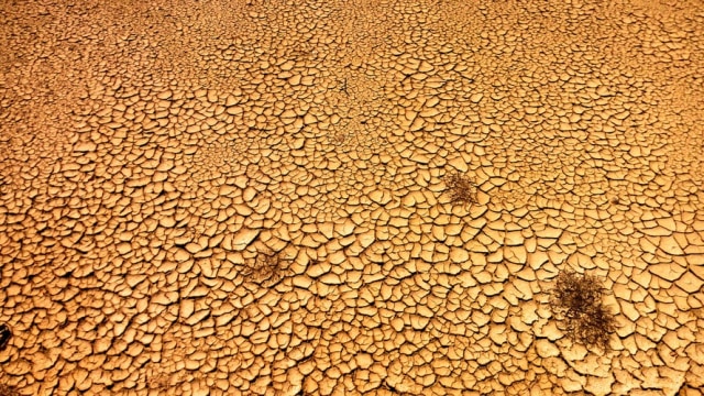 Ciri Dan Penyebab Terjadinya Musim Kemarau Di Indonesia Kumparan Com