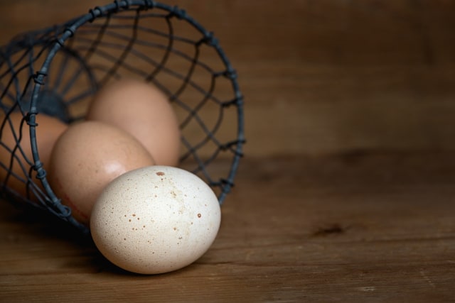 Ilustrasi telur kalkun dan telur ayam Foto: Dok. Pixabay