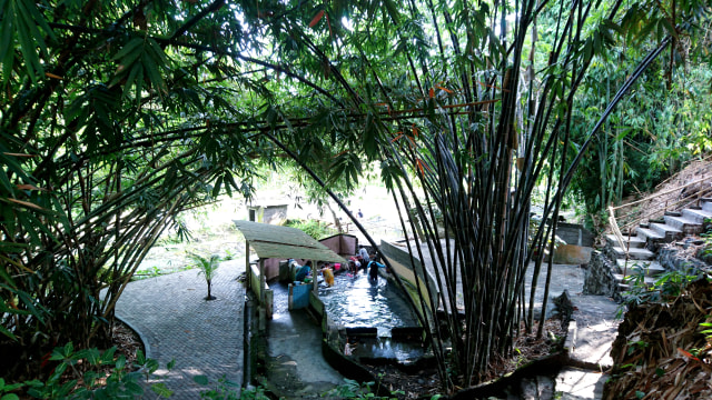 Sendang Pengantin di antara rimbunnya pohon bambu. Foto: Widi Erha Pradana. 