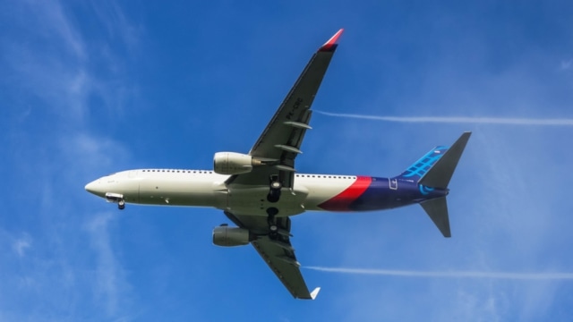 Ilustrasi pesawat Sriwijaya Air yang tengah mengudara Foto: Shutterstock