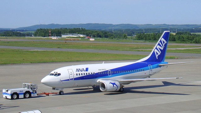Ilustrasi Boeing 737-500 maskapai All Nippon Airways Foto: Wikimedia Commons