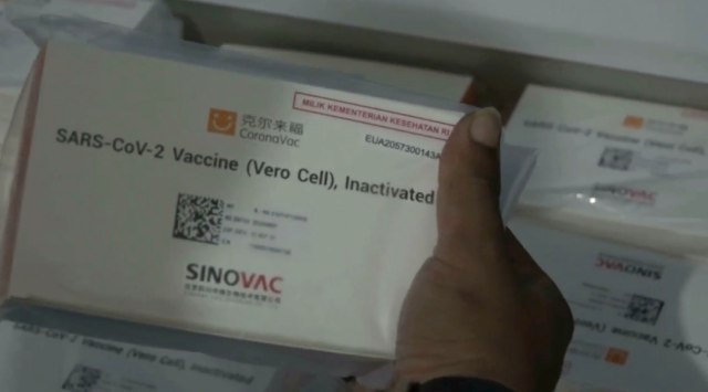 Fatwa MUI untuk Vaksin Sinovac: Halal dan Suci, Tak Mengandung Babi (294189)