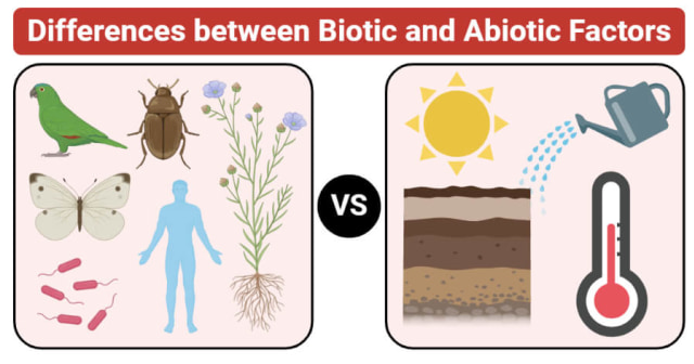 Dua Komponen Penyusun Ekosistem, Abiotik dan Biotik Foto: dok Microbe Notes
