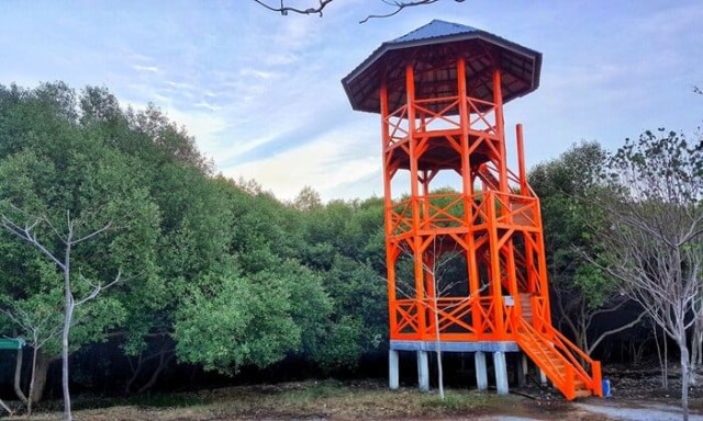 Ecomuseum : Pantai Karangsong dan Hutan Mangrove Indramayu (289906)