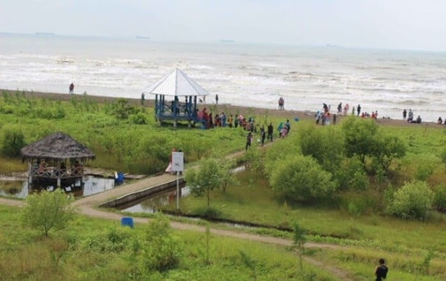 Ecomuseum : Pantai Karangsong dan Hutan Mangrove Indramayu (289907)