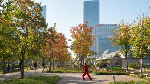 Ilustrasi Taman di China. Foto: Sasaki