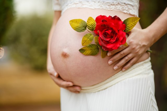 Ilustrasi kehamilan. Foto: Pixabay