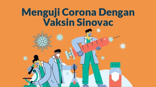 Tahap Pendistribusian Vaksin Covid-19 Sinovac (289789)