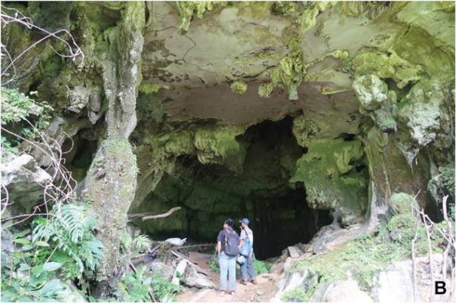 Gua Leang Tedongnge di Sulawesi. Foto: A. A. Oktaviana, ARKENAS/Griffith University