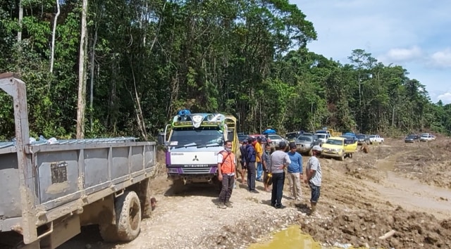 Wamen PUPR Trabas Hutan Cek Longsor dan Jembatan Putus di Jalan Trans Papua (263160)