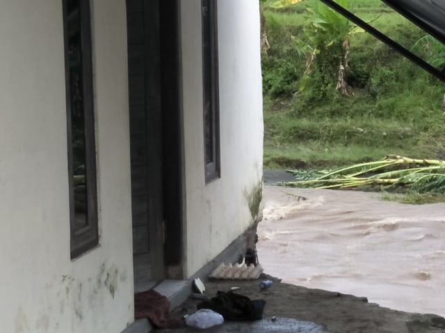 Terbawa Banjir, 7 Ekor Sapi Milik Warga di Jembrana, Bali, Hilang (1)