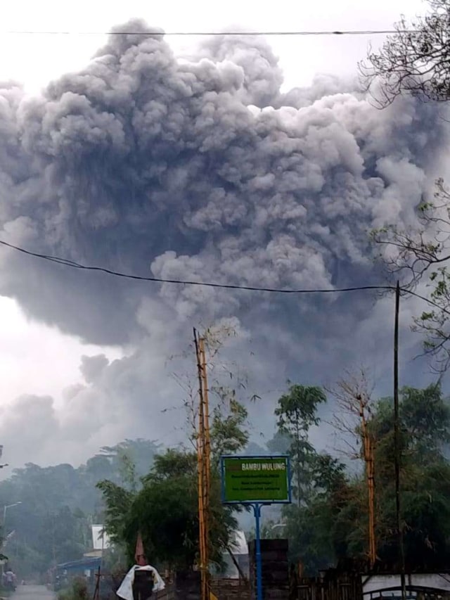 Gunung Semeru kembali keluarkan awan panas guguran sejauh 4,5 kilometer. Foto: BNPB