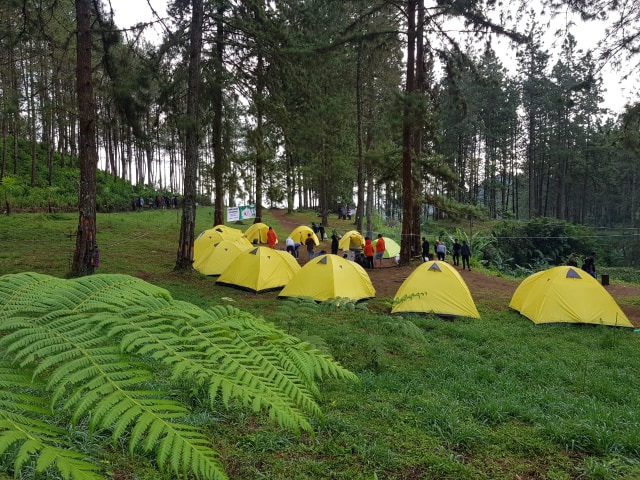 Kawasan wisata Camping Ground Permadi Jungle, Guci, Kabupaten Tegal. (Foto: Dok Pengelola) 