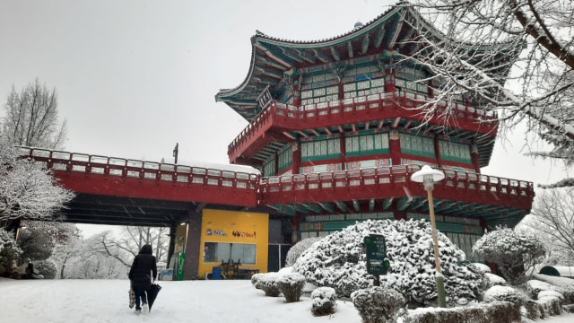 Acehkini Jalan-jalan: Pesona Salju di Kota Seoul (81062)
