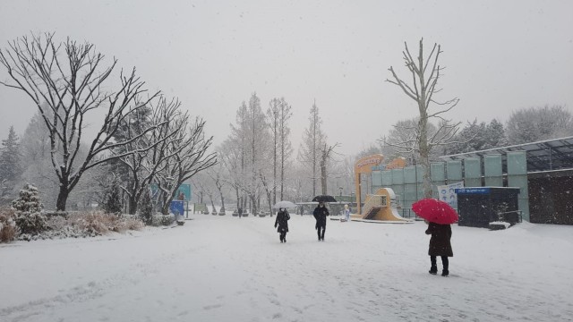 Acehkini Jalan-jalan: Pesona Salju di Kota Seoul (81068)