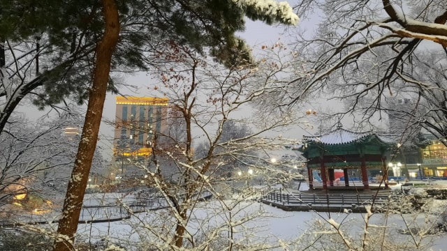 Acehkini Jalan-jalan: Pesona Salju di Kota Seoul (81064)