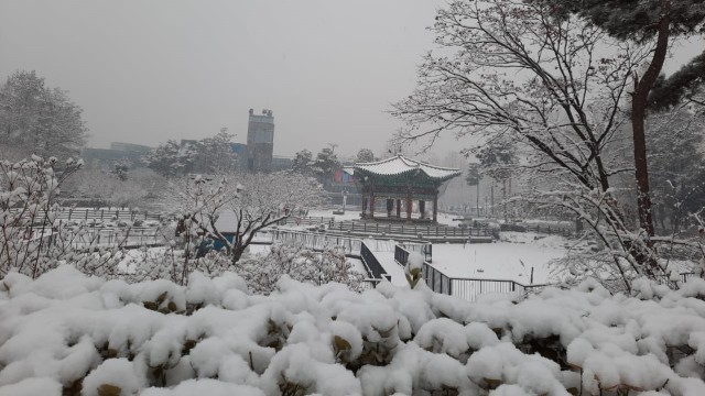 Acehkini Jalan-jalan: Pesona Salju di Kota Seoul (81065)