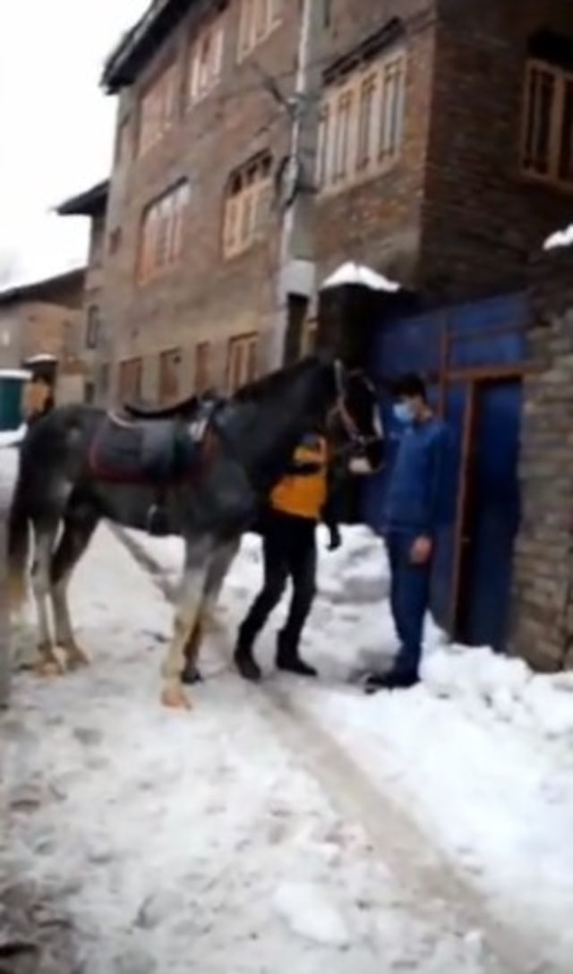 Viral kurir dari perusahaan E-Commerce ternama menunggangi kuda saat mengantar paket ke rumah pelanggan. (Foto: Twitter/@@UmarGanie1)