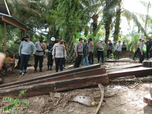 Batangan kayu yang berhasil diamankan pettugas kepolisian/Polres Muaro Jambi