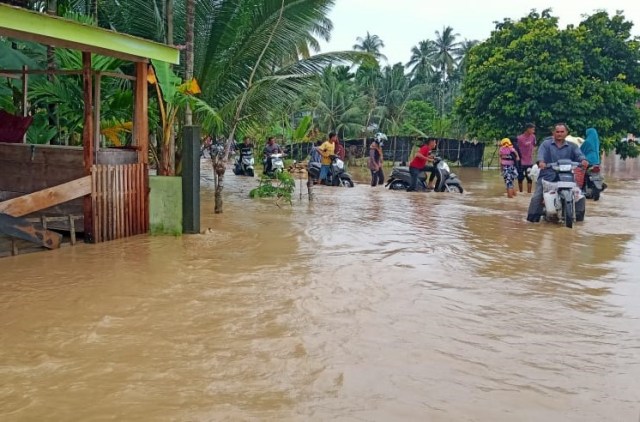 BPBD mencatat 10.048 jiwa terdampak banjir di tujuh kecamatan dalam Kabupaten Pidie, Aceh. Foto: Dok. BPBD Pidie