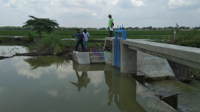Ilustrasi: salah satu cek dam yang ada di Kabupaten Bojonegoro. (foto: istimewa)