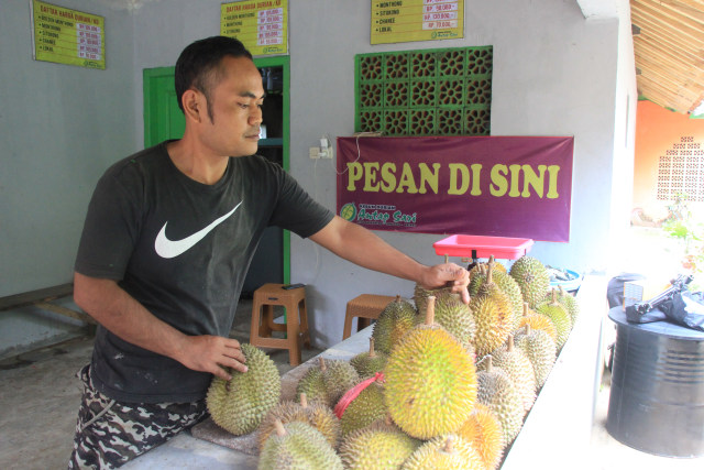 Durian lokal di Kebun Antap Sari, Desa Rajawetan, Kecamatan Tonjong, Brebes. (Foto: Irsyam Faiz)
