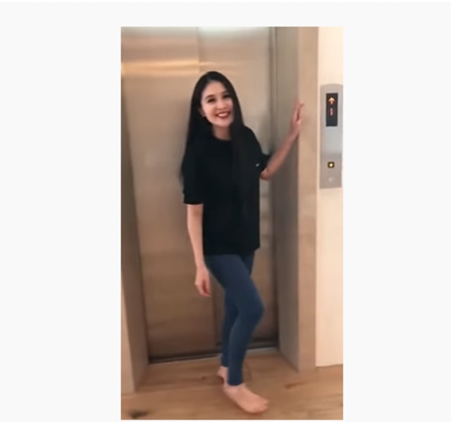 Mewah Banget! 5 Artis Ini Punya Lift di Rumahnya (180246)