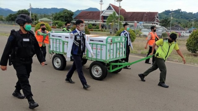 Vaksin Sinovac tiba di Bandara Tampapadang Mamuju, Sulawesi Barat, Rabu (6/1). Foto: Dok. Istimewa