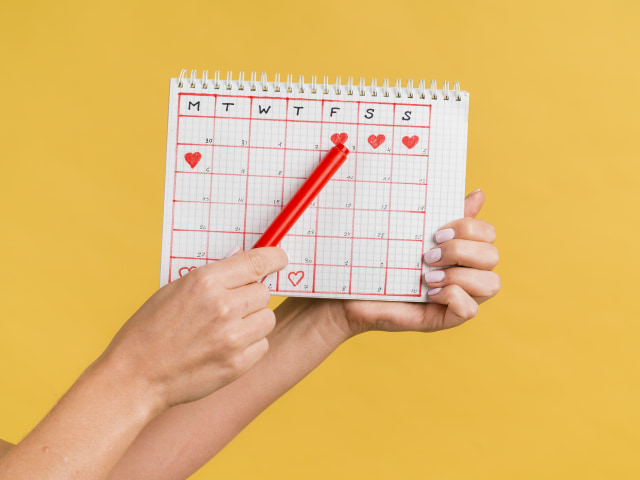 Cara Mengetahui Masa Subur Agar Cepat Hamil Foto: Freepik