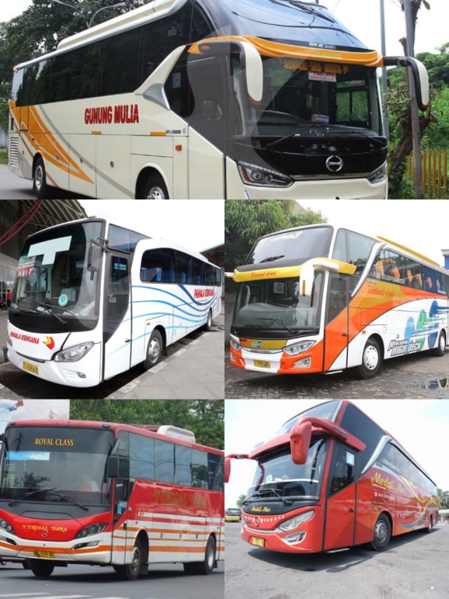 Pilihan PO Bus menuju Solo. Foto: Dok. Istimewa