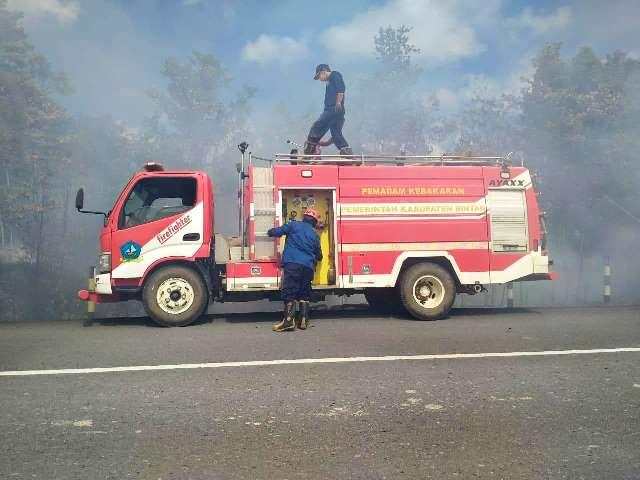 Tim UPTD Damkar Toapaya memadamkan kebakaran hutan. (Foto: ist)