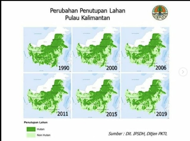 Menyoal Foto Deforestasi Hutan  Kalimantan  kumparan com