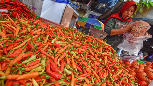 Pedagang membungkus cabai rawit yang dijualnya di Pasar Kebon Roek, Ampenan, Mataram, NTB, Selasa (26/1). Foto: Ahmad Subaidi/ANTARA FOTO