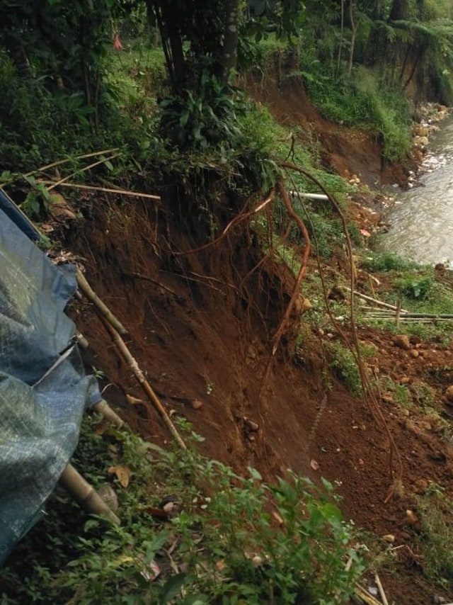 Tebing kali Cisadane setinggi 7 meter longsor akibat hujan deras di Kabupaten Bogor.  Foto: Dok. Istimewa