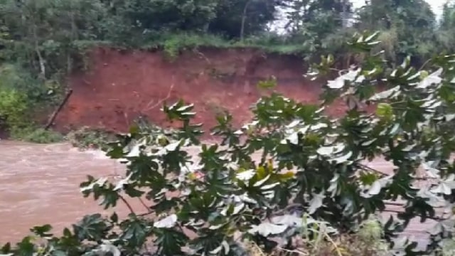 Hujan Deras Guyur Bogor, Tebing Setinggi 7 Meter di Sungai Cisadane Longsor (358959)