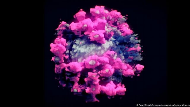 Virus corona SARS-CoV-2 dalam bentuk 3D. Foto: Nanographics