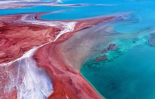 Pengaruh Kecerahan Air Laut Terhadap Aktivitas Biota Laut