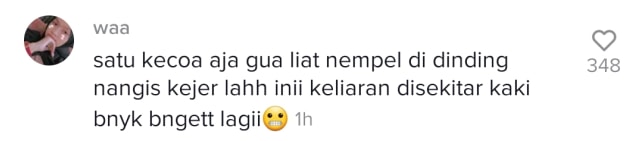 Viral Joroknya Kamar Kos Cewek Penuh Sampah sampai Jadi Sarang Kecoa (2125)