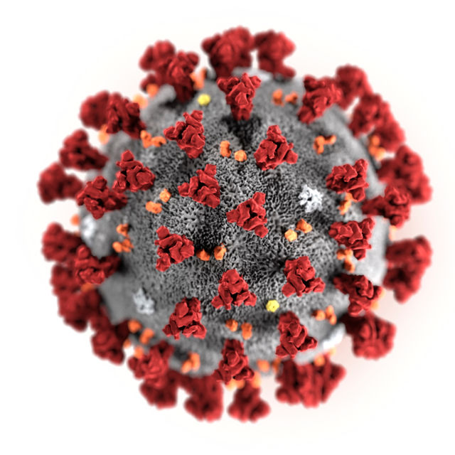 Ilustrasi virus corona. Foto: AP Photo