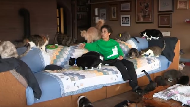 Lynea Lattanzio menikmati hidupnya dengan kucing. Foto: Youtube/truly