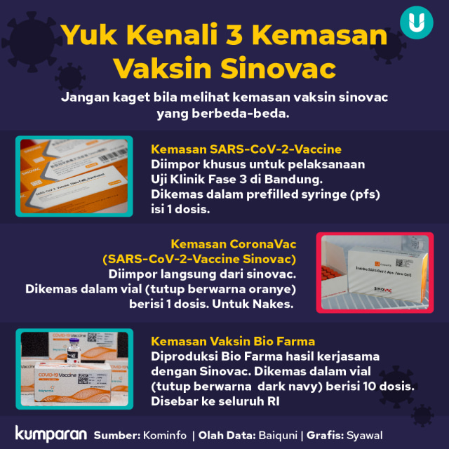 11 Juta Dosis Bulk Vaksin Sinovac Tiba di Indonesia Hari Ini (74707)