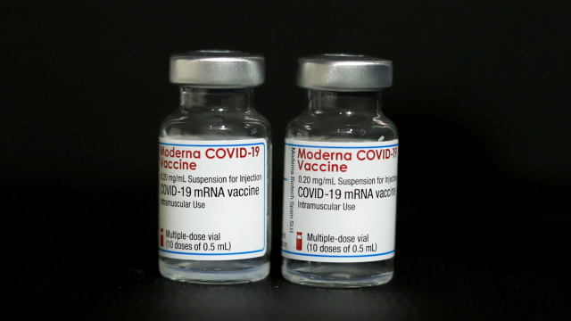 Ilustrasi vaksin Moderna COVID-19.
 Foto: Eric Gaillard/REUTERS